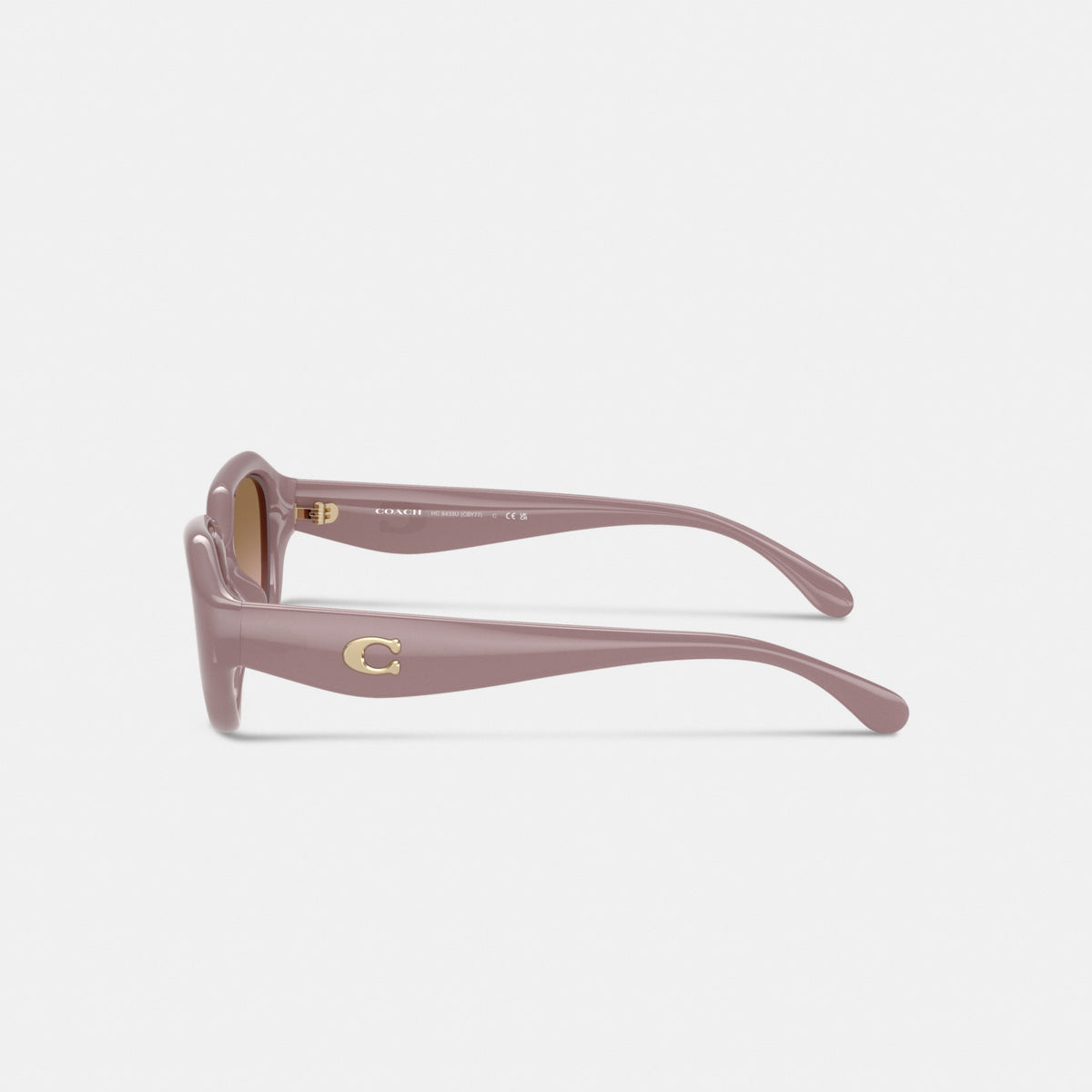 C Hardware Geometric Sunglasses