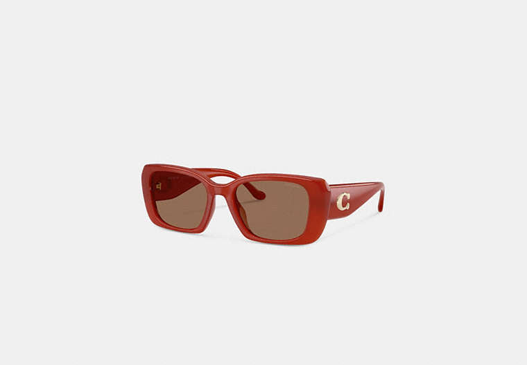 Maxi Sculpted C Oversized Rectangle Sunglasses