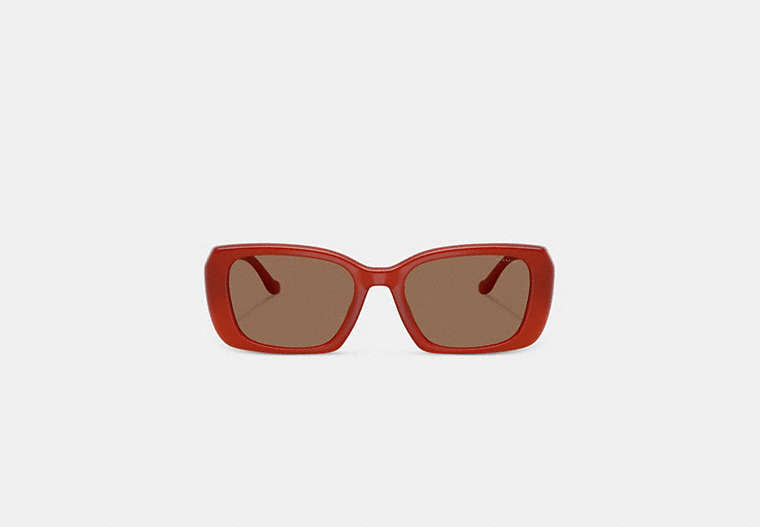 Maxi Sculpted C Oversized Rectangle Sunglasses