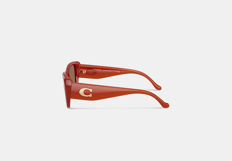 Maxi Sculpted C Oversized Rectangle Sunglasses