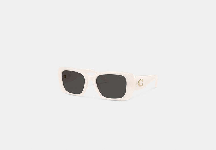 Maxi Sculpted C Oversized Rectangle Sunglasses
