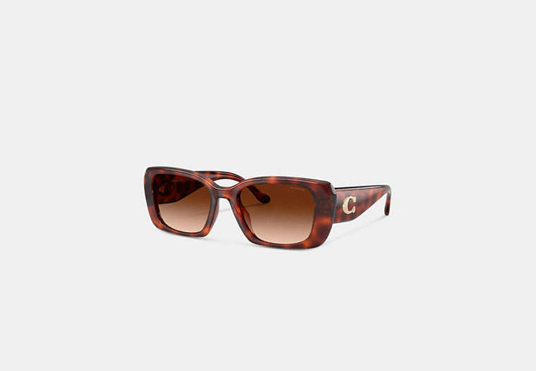 Maxi Sculpted C Oversized Rectangle Sunglasses