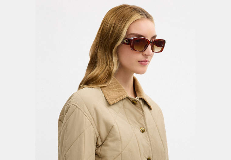 Maxi Sculpted C Oversized Rectangle Sunglasses