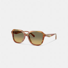 Oval Square Sunglasses