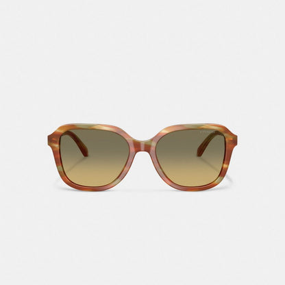 Oval Square Sunglasses