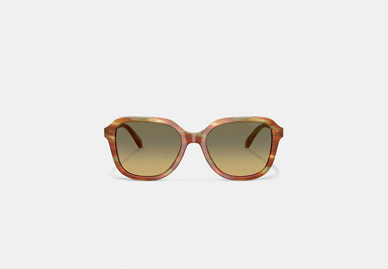 Oval Square Sunglasses