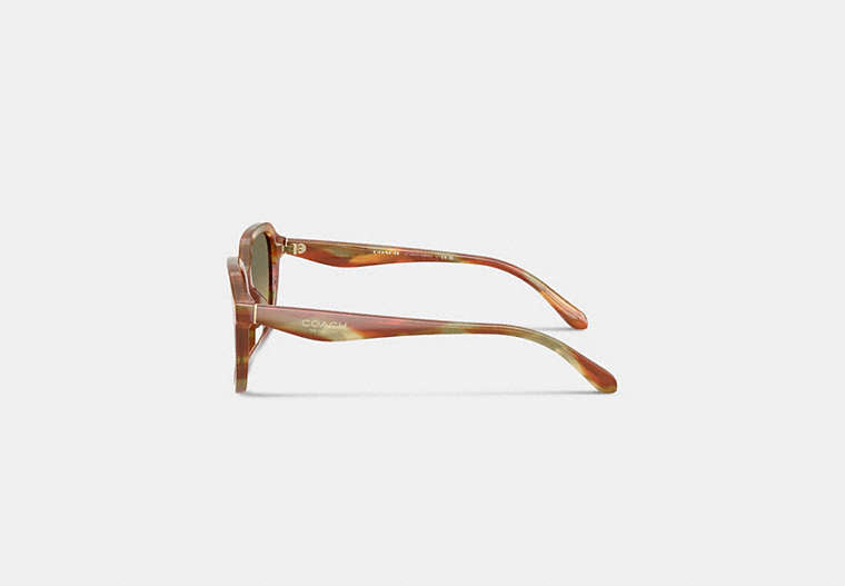 Oval Square Sunglasses
