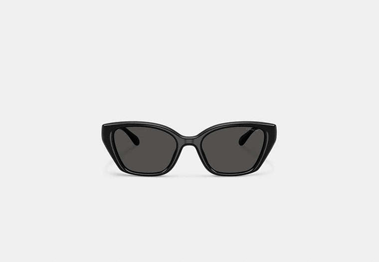 C Hardware Square Cat Eye Sunglasses