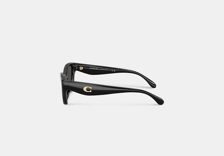 C Hardware Square Cat Eye Sunglasses