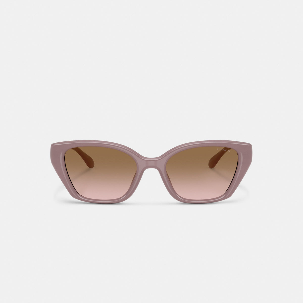 C Hardware Square Cat Eye Sunglasses