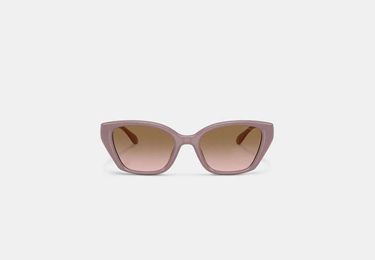 C Hardware Square Cat Eye Sunglasses