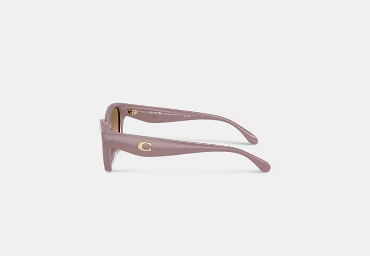 C Hardware Square Cat Eye Sunglasses