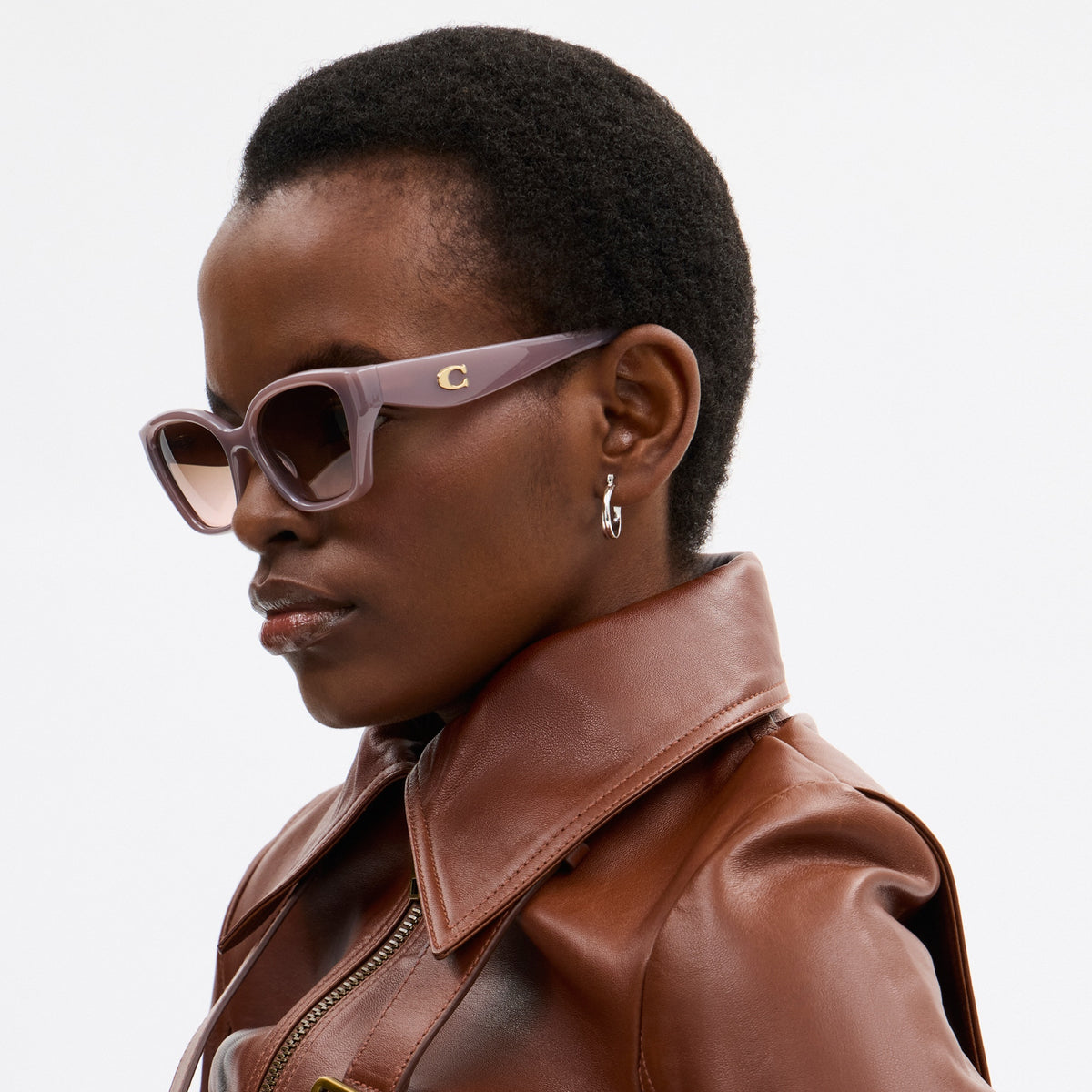 C Hardware Square Cat Eye Sunglasses