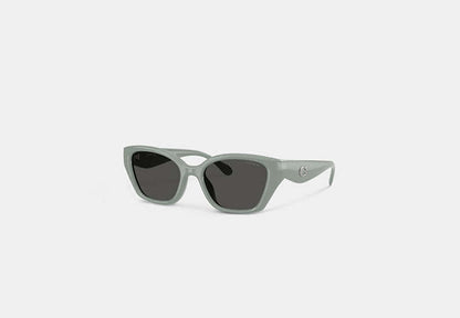 C Hardware Square Cat Eye Sunglasses