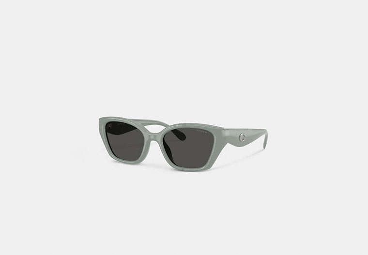 C Hardware Square Cat Eye Sunglasses