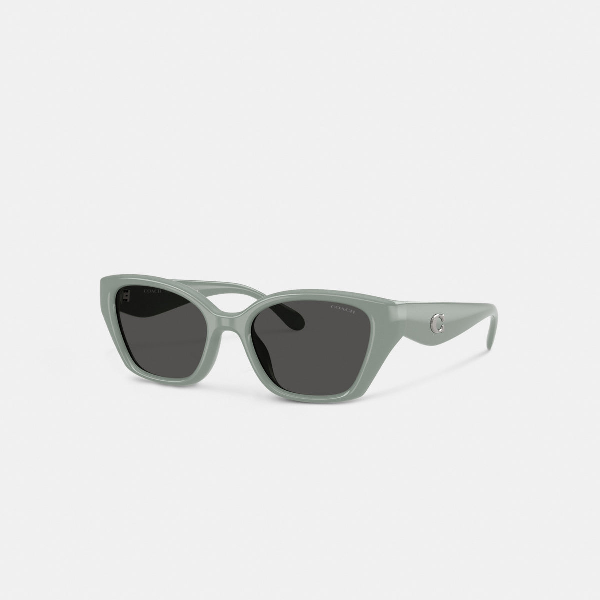 C Hardware Square Cat Eye Sunglasses