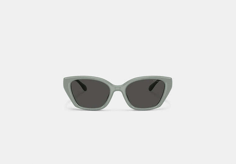 C Hardware Square Cat Eye Sunglasses