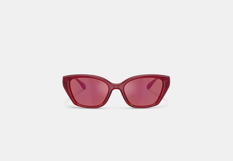 C Hardware Square Cat Eye Sunglasses