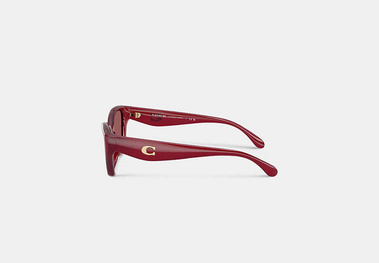 C Hardware Square Cat Eye Sunglasses