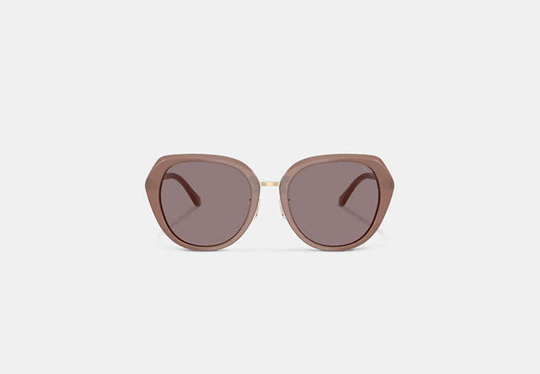 Maxi Sculpted C Oversized Round Sunglasses