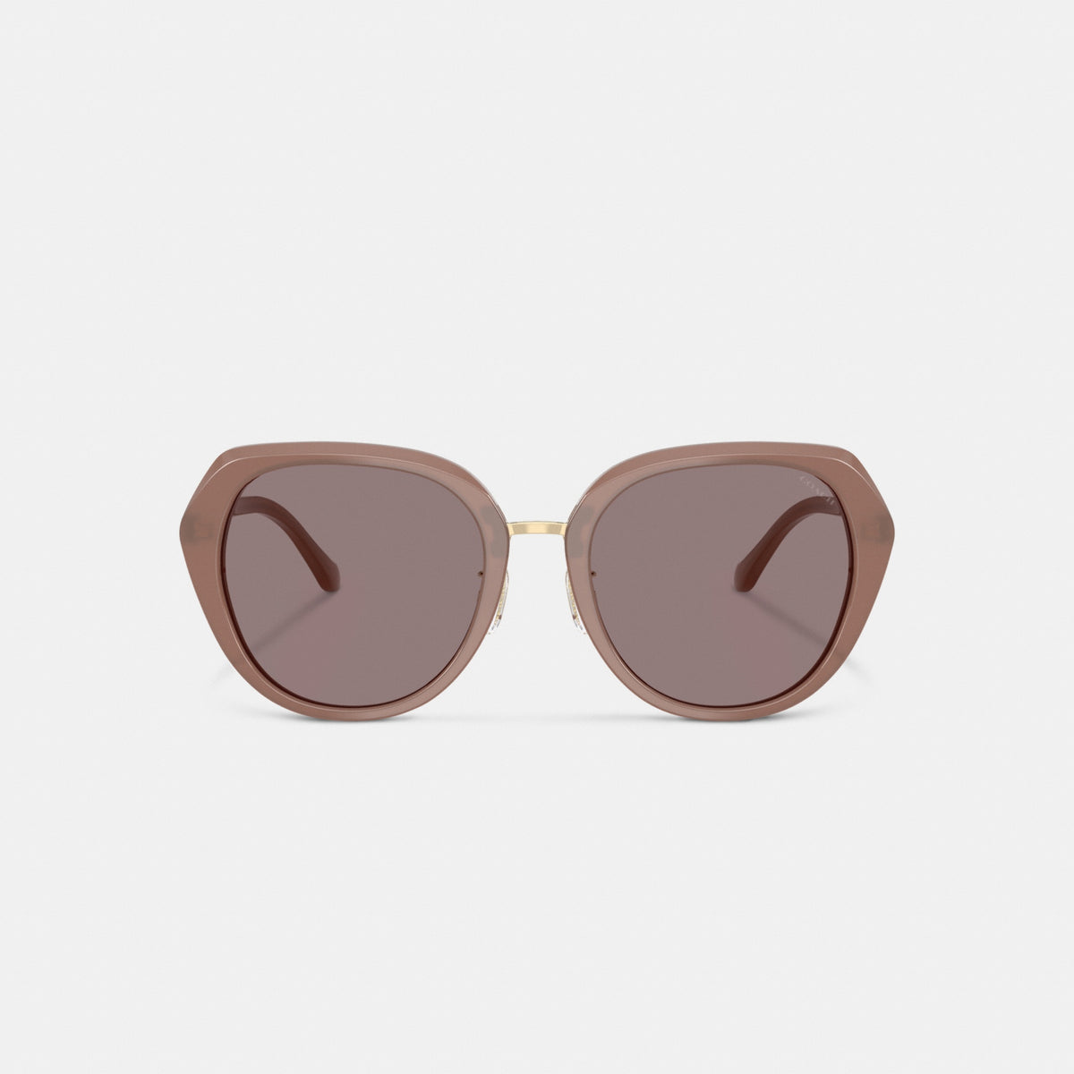 Maxi Sculpted C Oversized Round Sunglasses