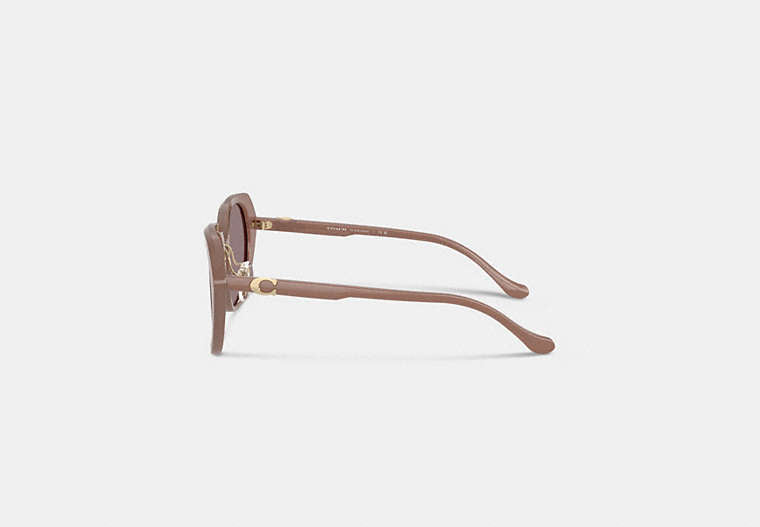 Maxi Sculpted C Oversized Round Sunglasses