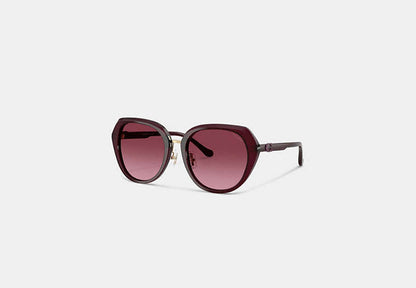Maxi Sculpted C Oversized Round Sunglasses