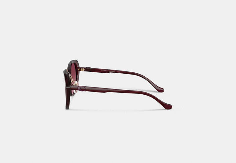 Maxi Sculpted C Oversized Round Sunglasses