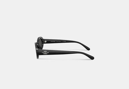 Narrow Oval Sunglasses