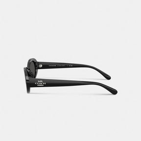 Narrow Oval Sunglasses
