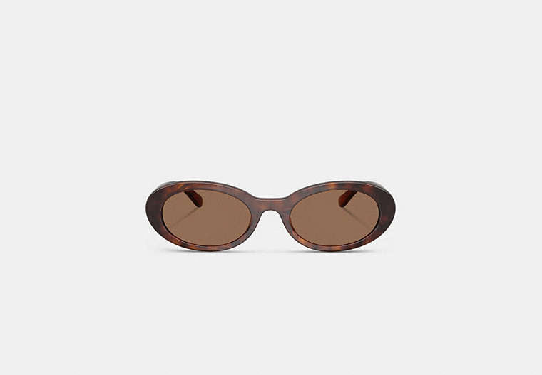 Narrow Oval Sunglasses
