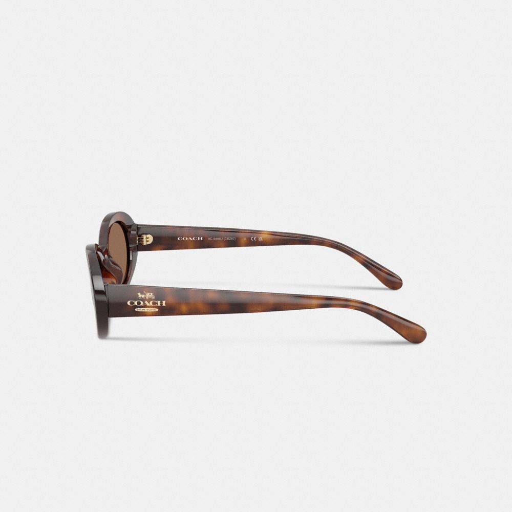 Narrow Oval Sunglasses