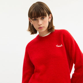 Coach Embroidered Crewneck Sweater