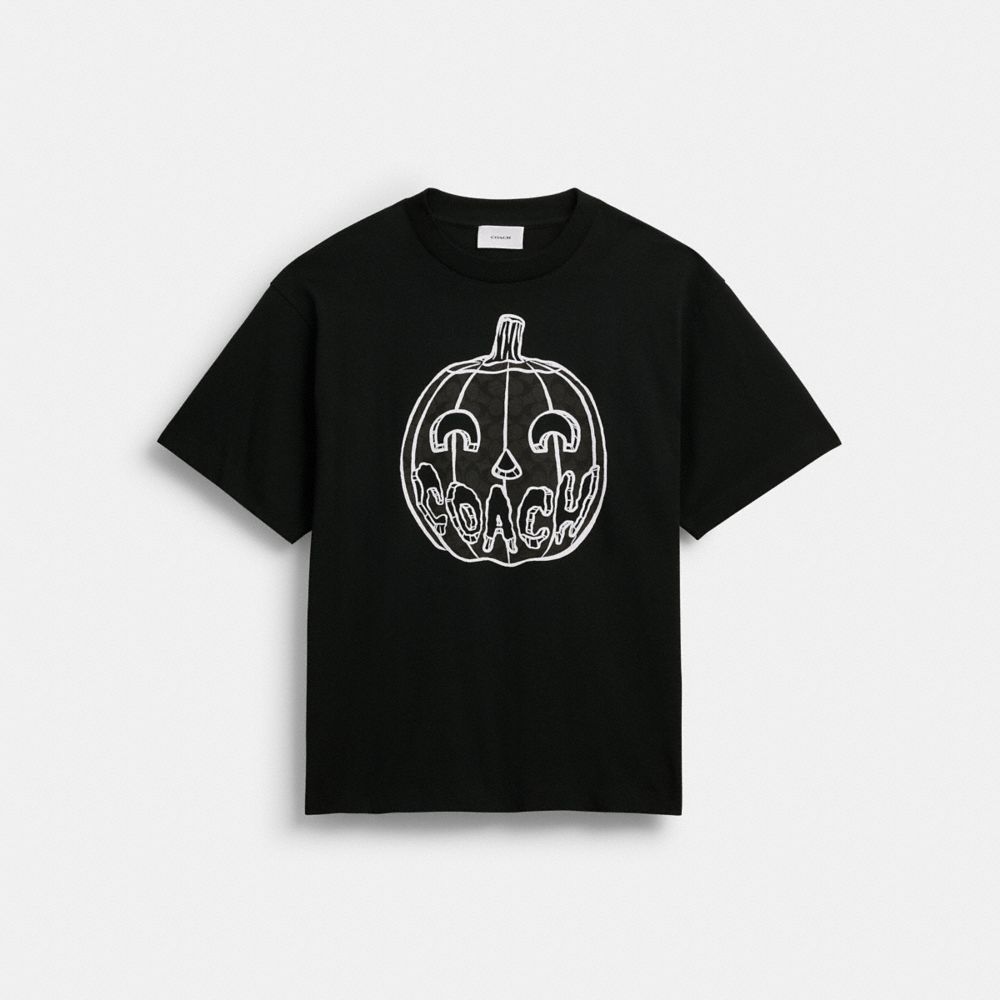 Pumpkin Relaxed T Shirt In Organic Cotton