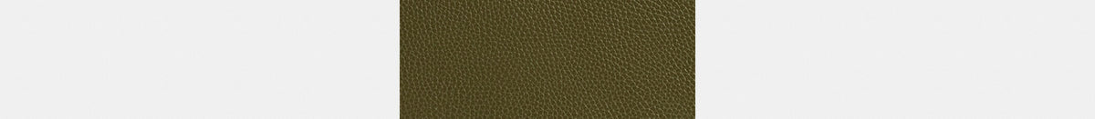 Carlyle Brief Bag