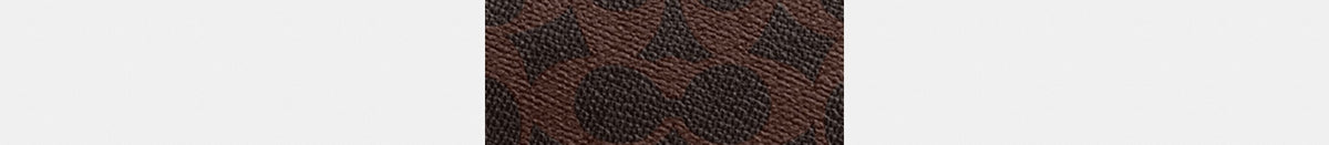 Plaza Bag In Signature Canvas