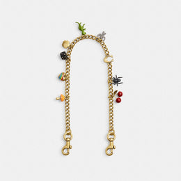 Chain Strap With Charms