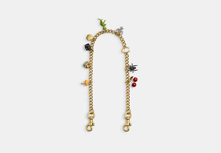 Chain Strap With Charms