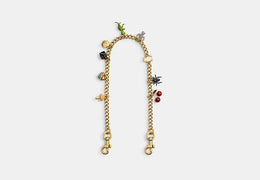 Chain Strap With Charms