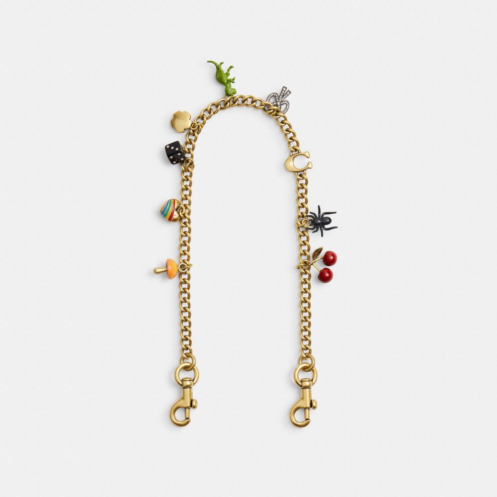 Chain Strap With Charms