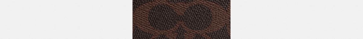 Plaza Bag 18 In Signature Canvas