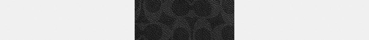 Compass Bag 45 In Signature Canvas