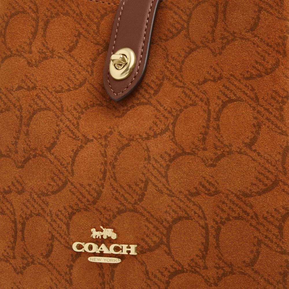 Hadley Mini Crossbody Bag In Signature Suede