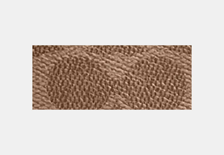 Compass Bag 25 In Signature Canvas