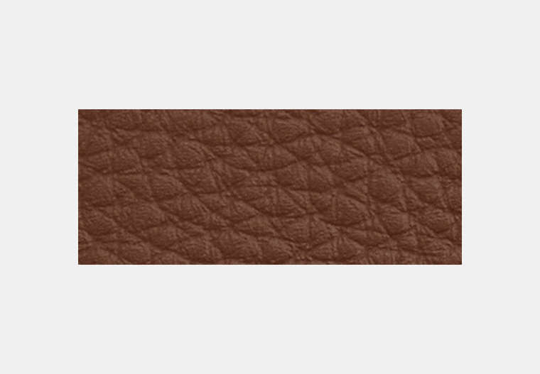 Card Case With Money Clip