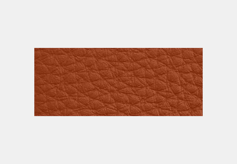 Card Case With Money Clip