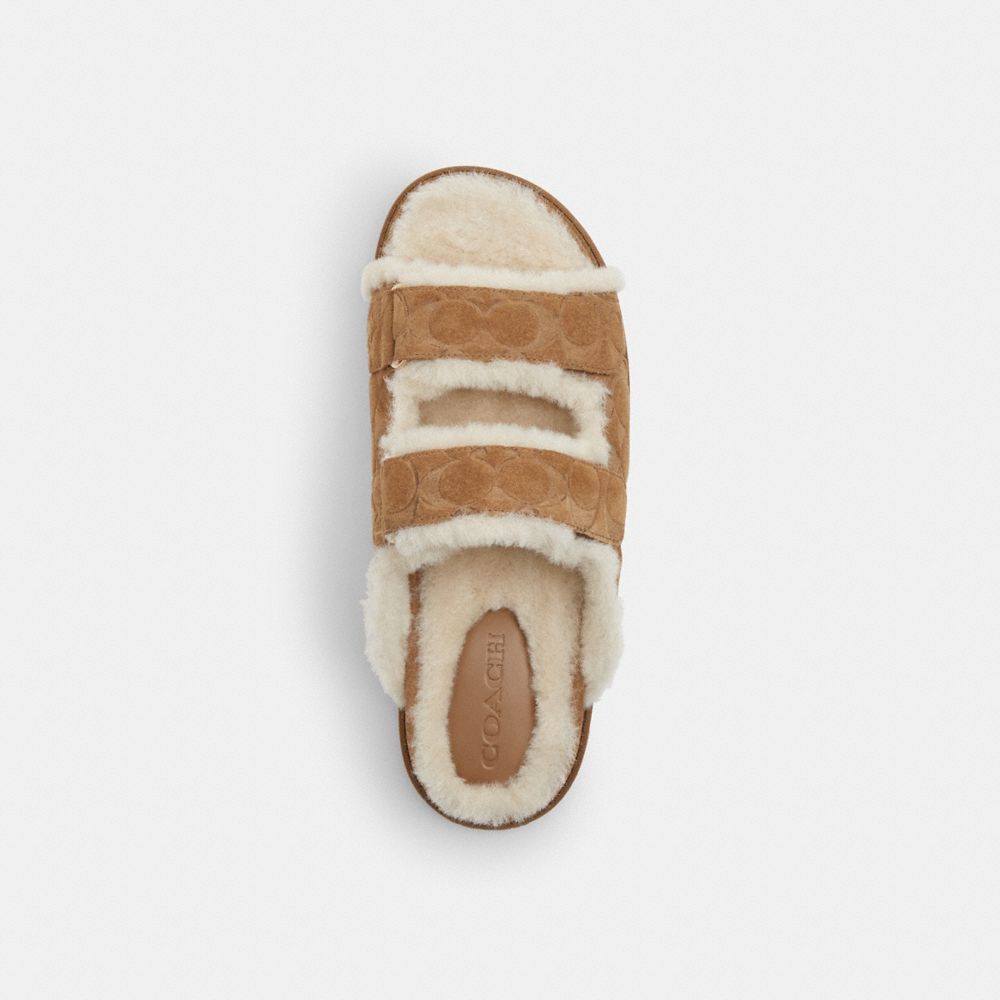 Two Band Sport Slide In Signature Suede