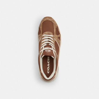 Sport Sneaker In Signature Canvas