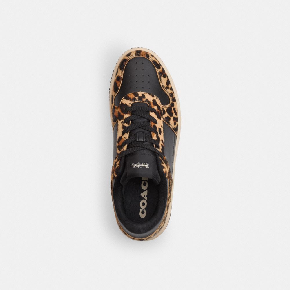 Platform Sneaker With Leopard Print