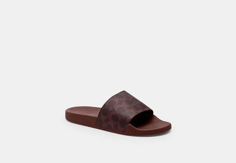 Udele Sport Slide In Signature Canvas